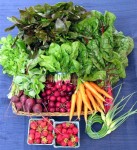 organic-csa-share